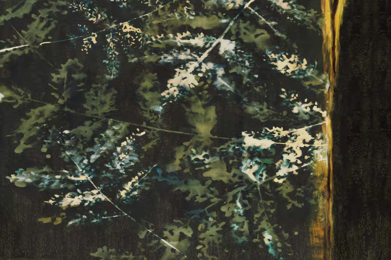 WALLPAPER