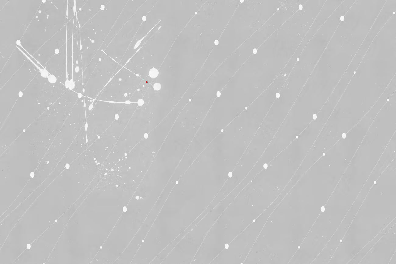 WALLPAPER