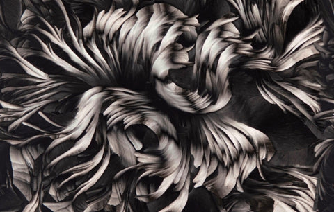 WALLPAPER