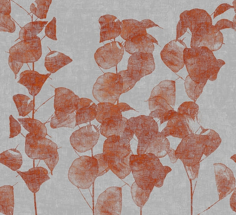WALLPAPER
