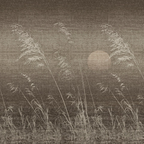 WALLPAPER