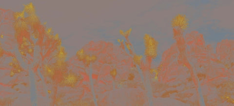 WALLPAPER