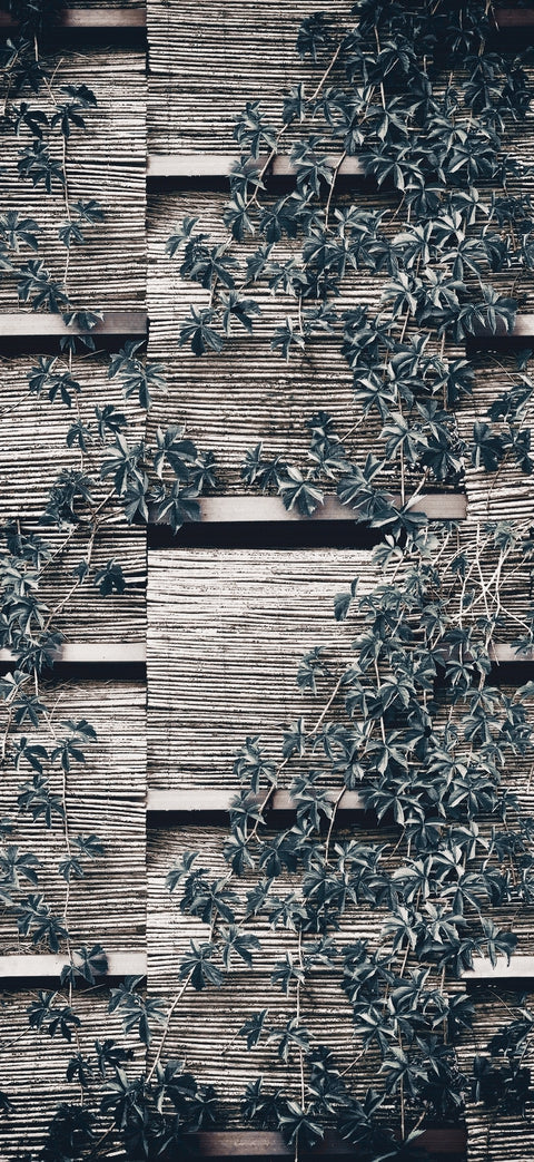 WALLPAPER
