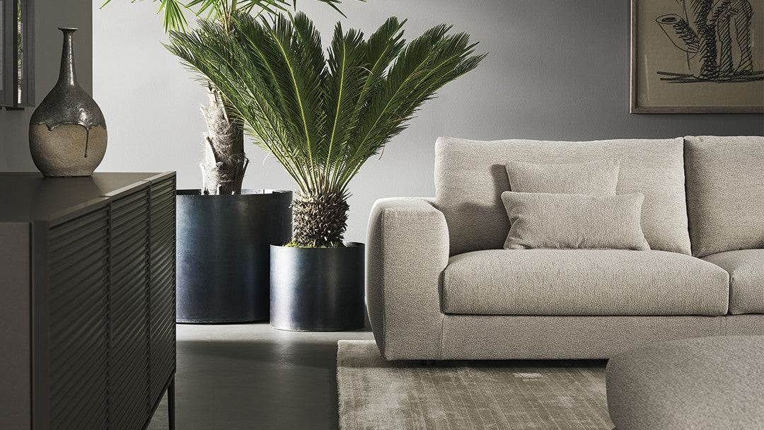 SOFAS