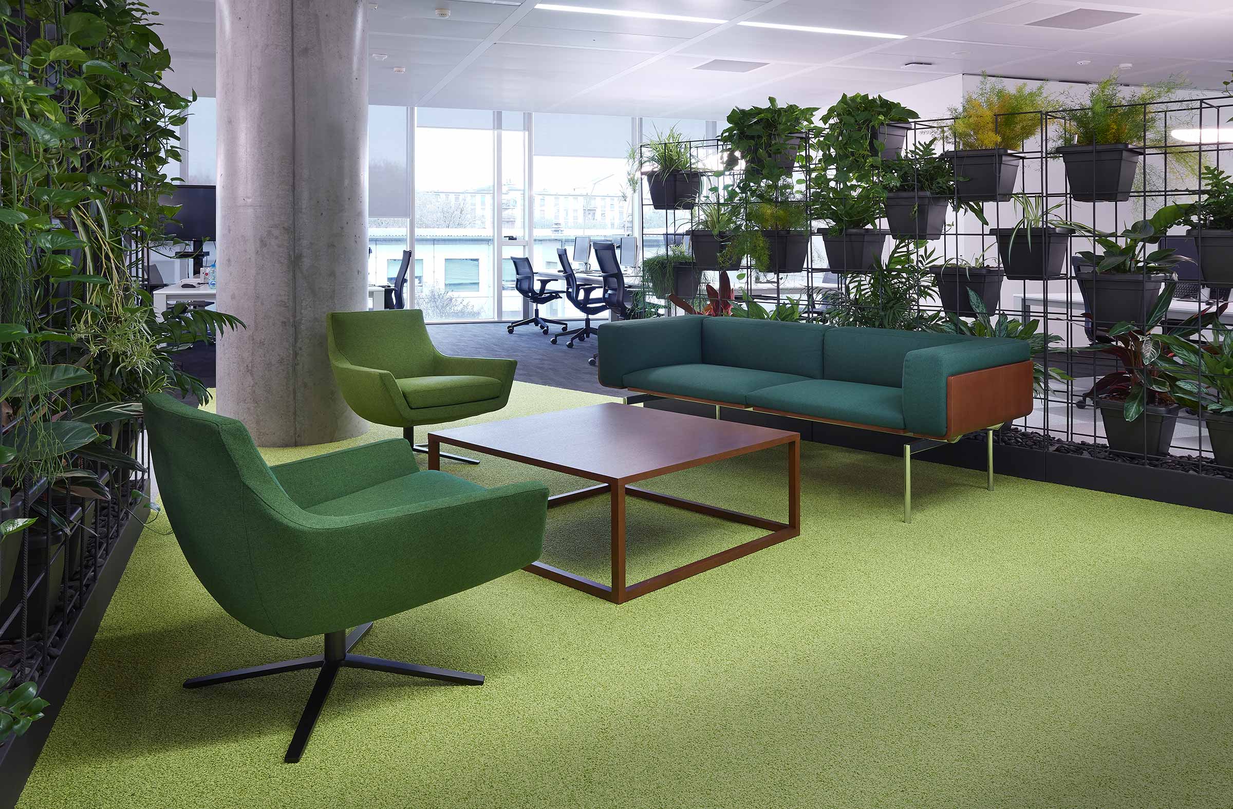 SOFAS