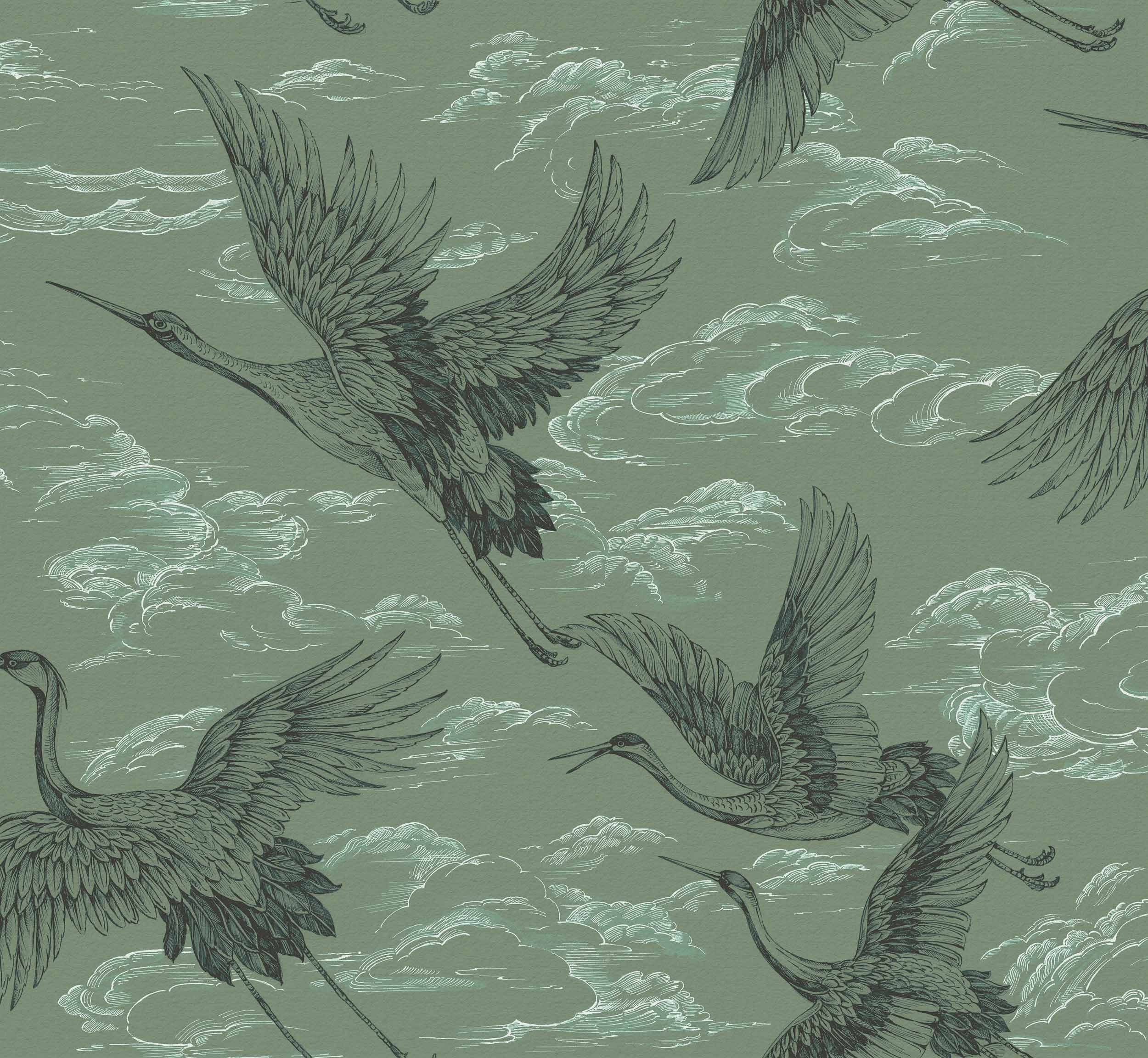WALLPAPER