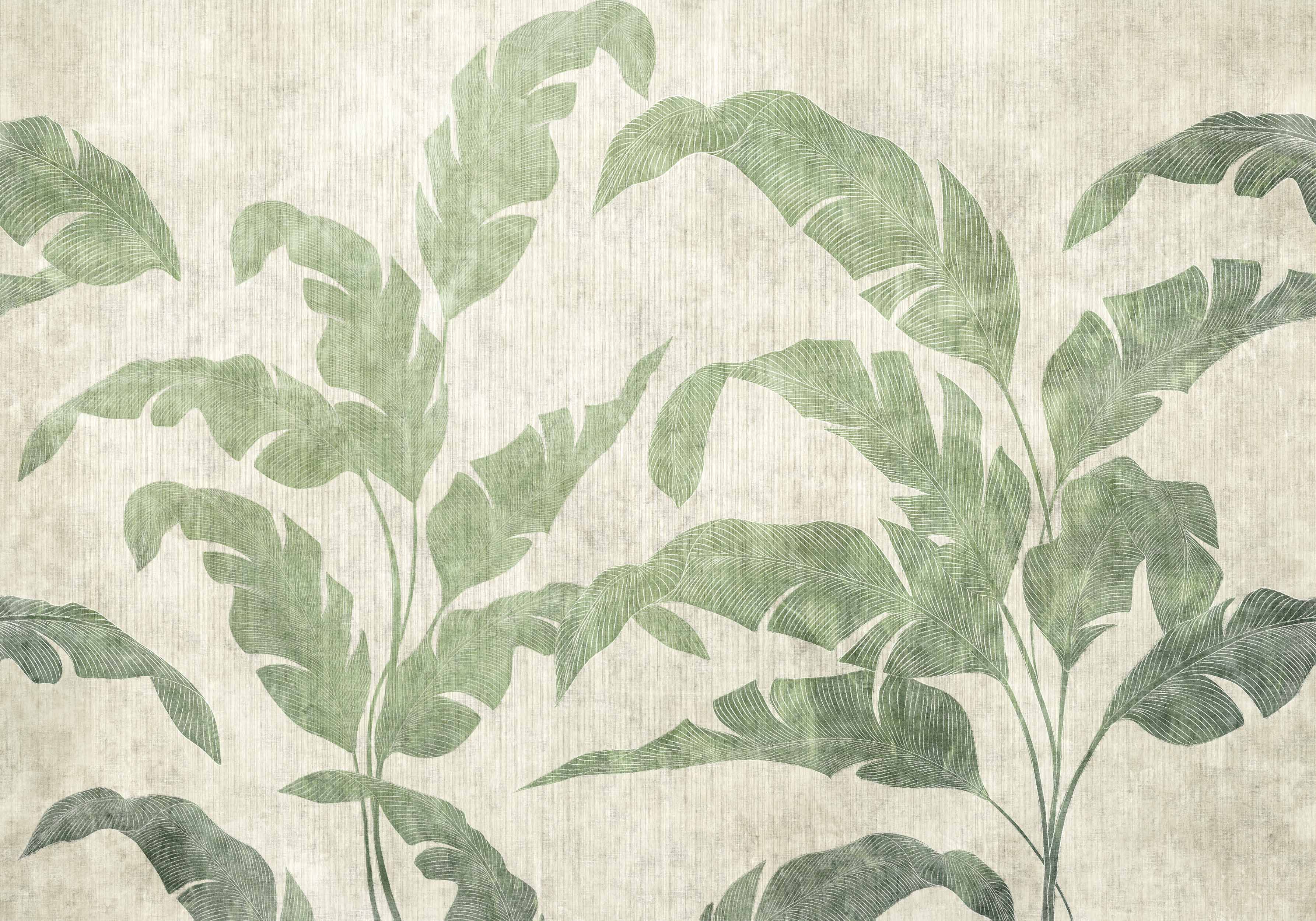 WALLPAPER