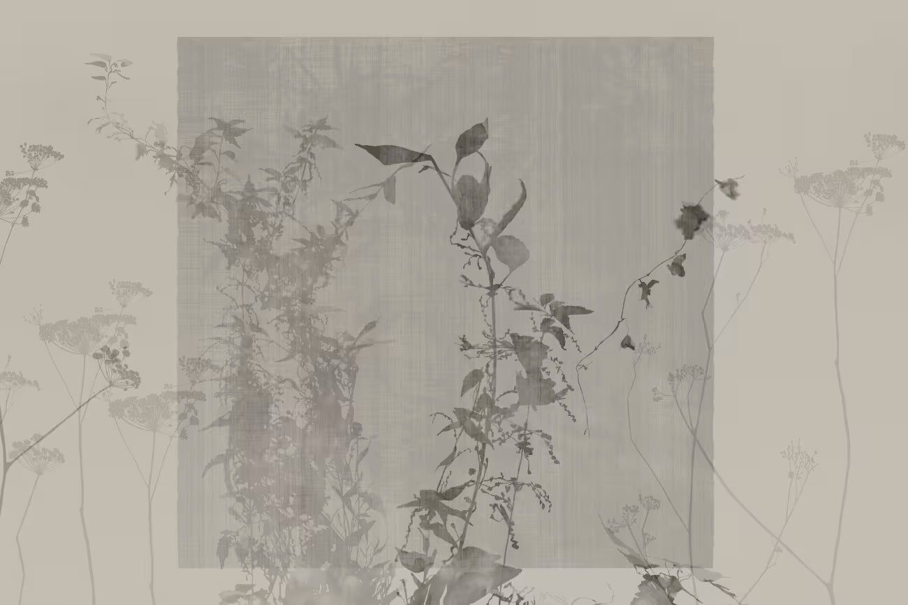 WALLPAPER