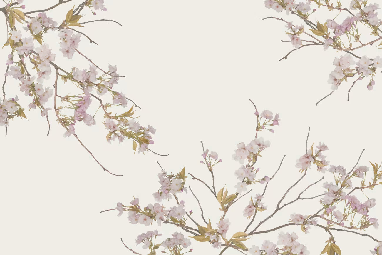 WALLPAPER
