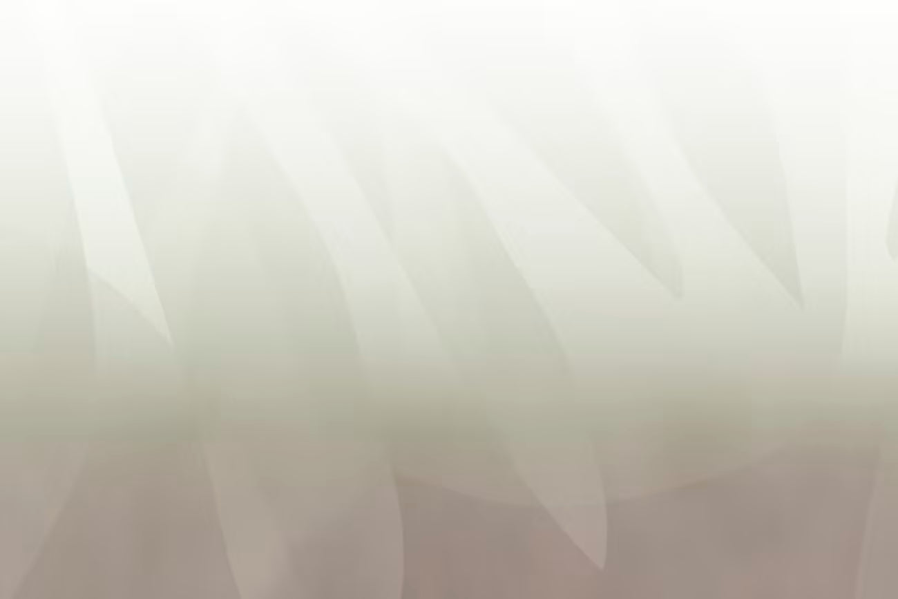 WALLPAPER