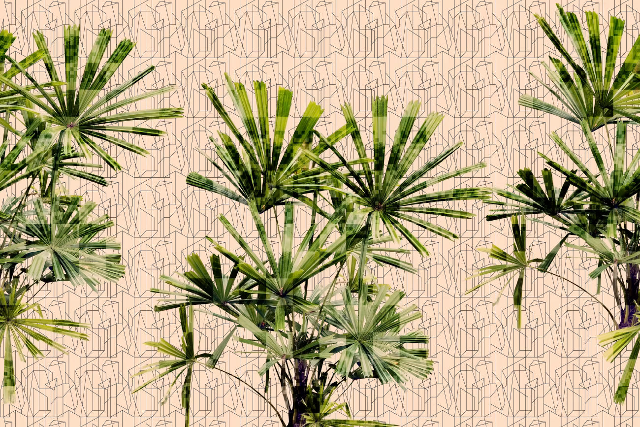 WALLPAPER