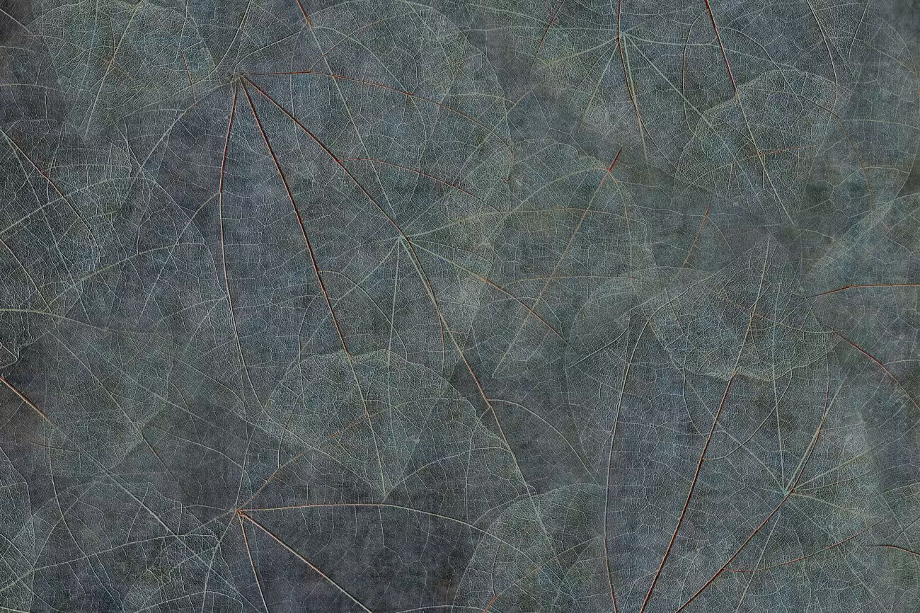 WALLPAPER