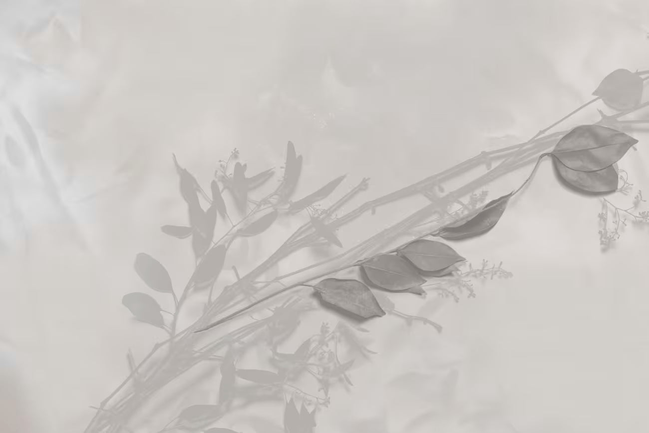 WALLPAPER