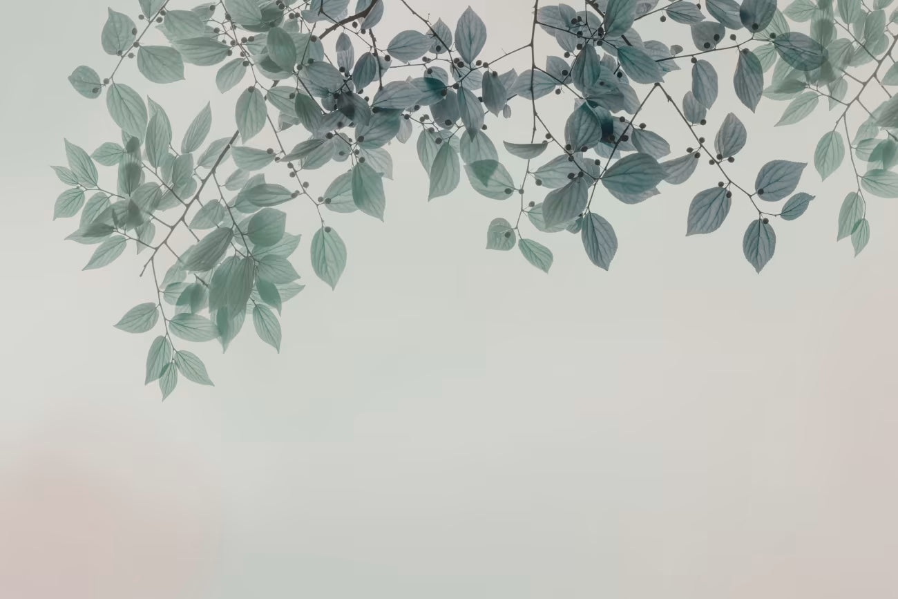 WALLPAPER