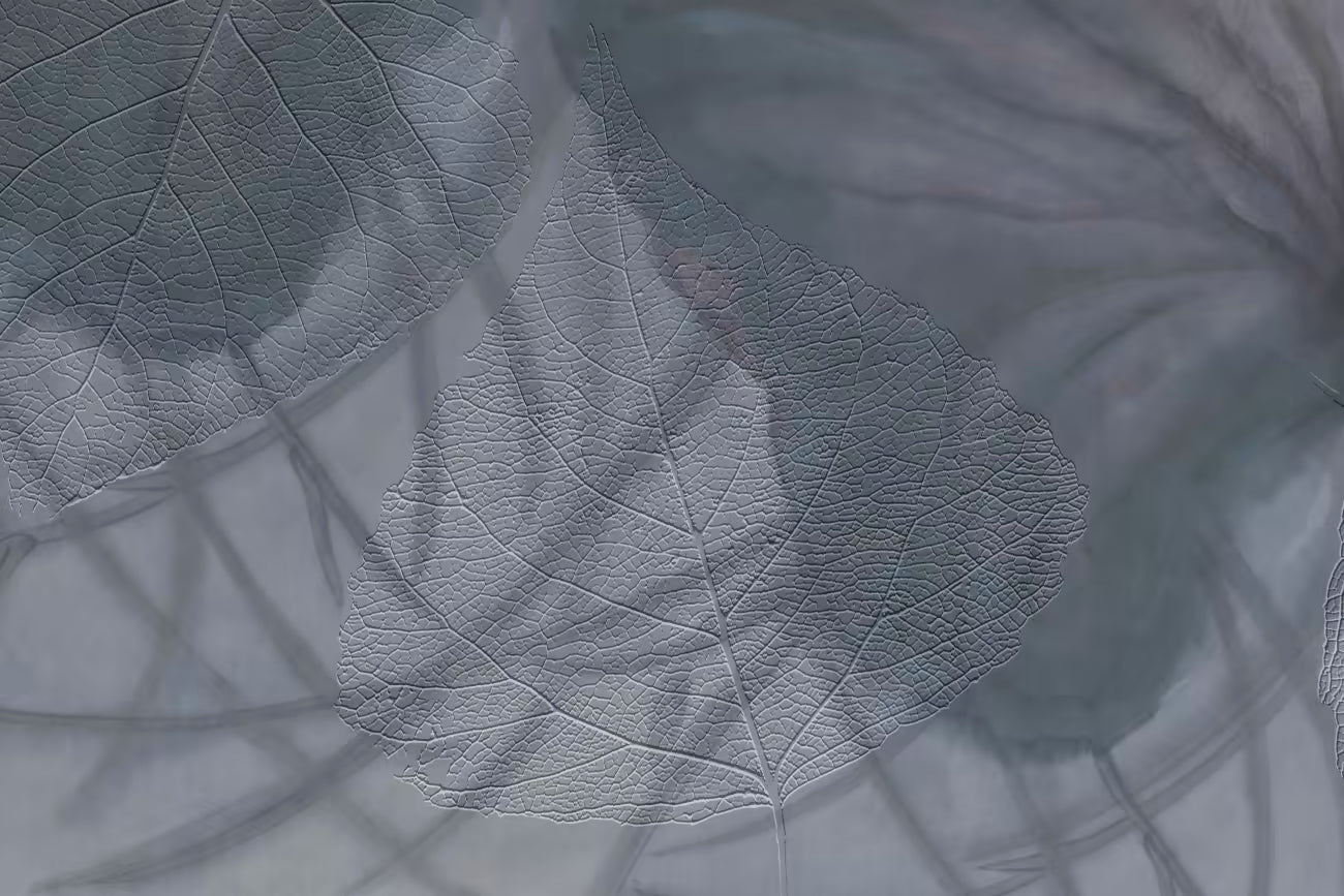 WALLPAPER