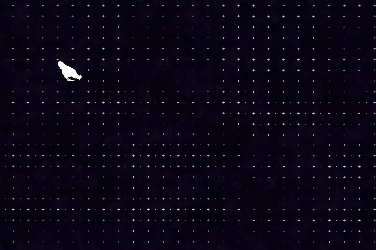 WALLPAPER