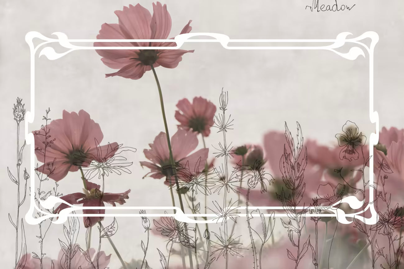 WALLPAPER