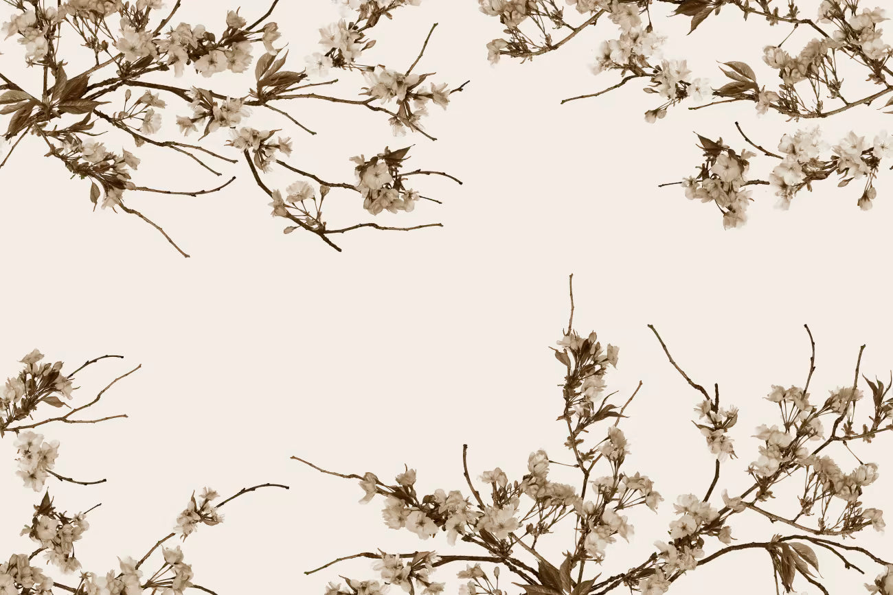 WALLPAPER