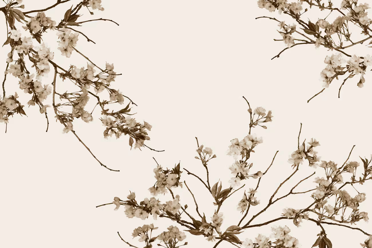 WALLPAPER