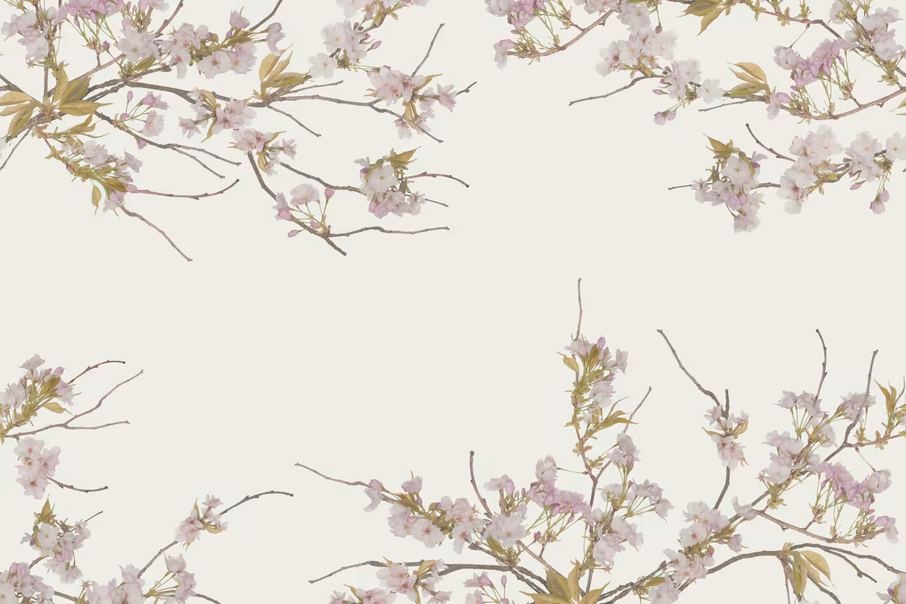 WALLPAPER