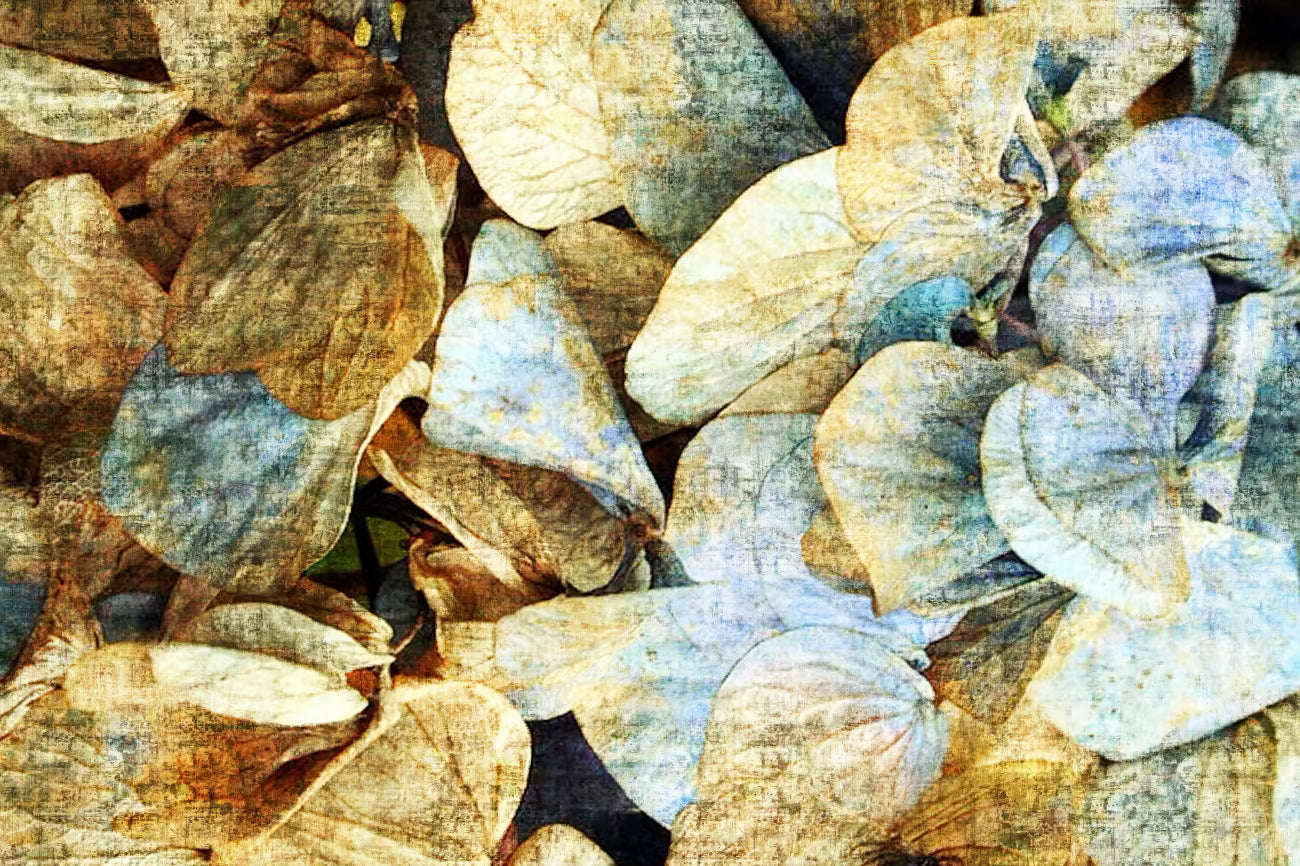 WALLPAPER