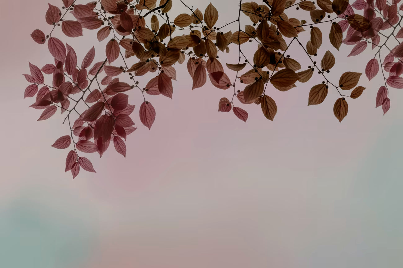 WALLPAPER