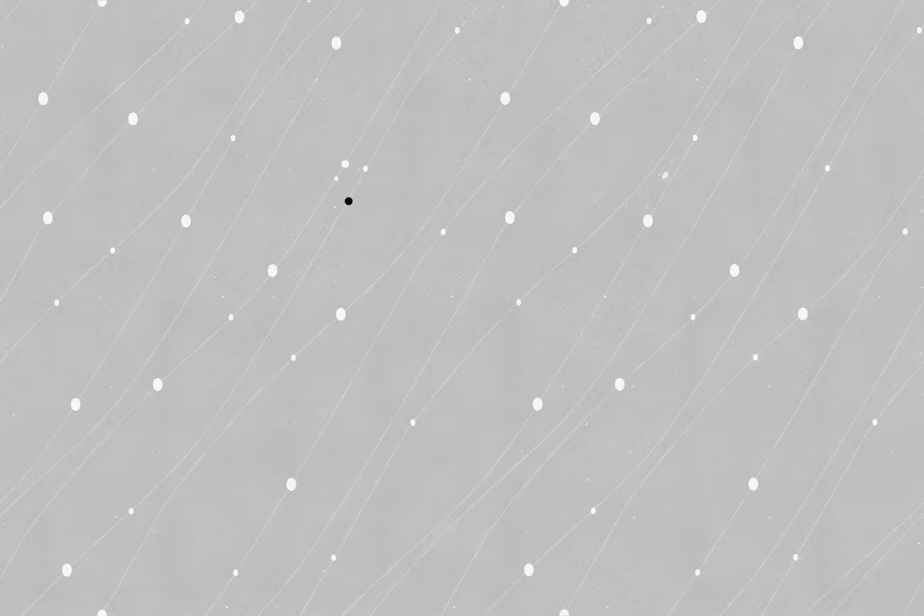 WALLPAPER