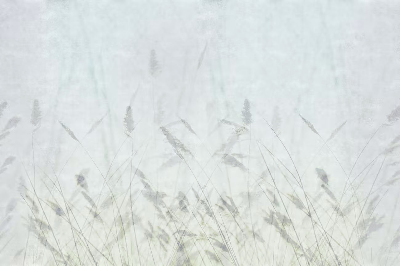 WALLPAPER