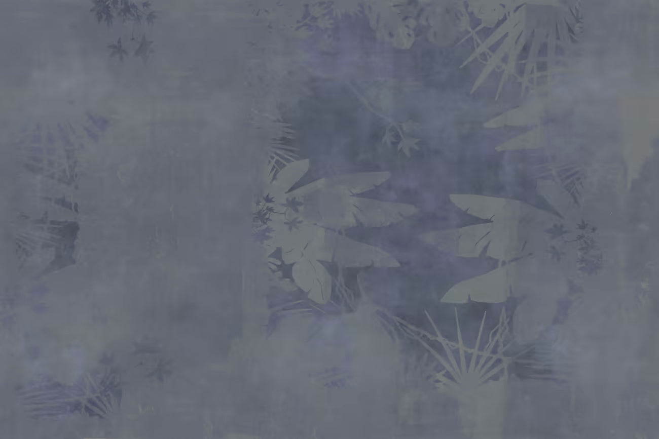 WALLPAPER