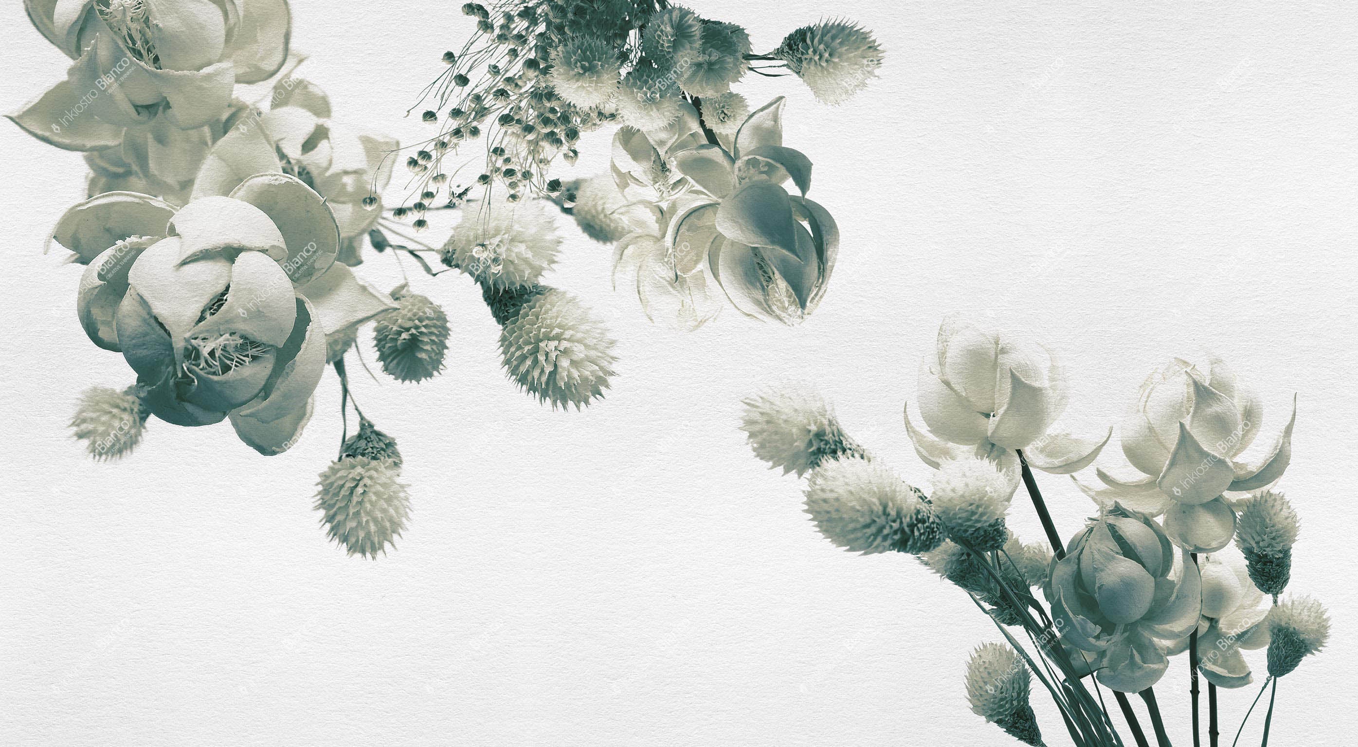 WALLPAPER