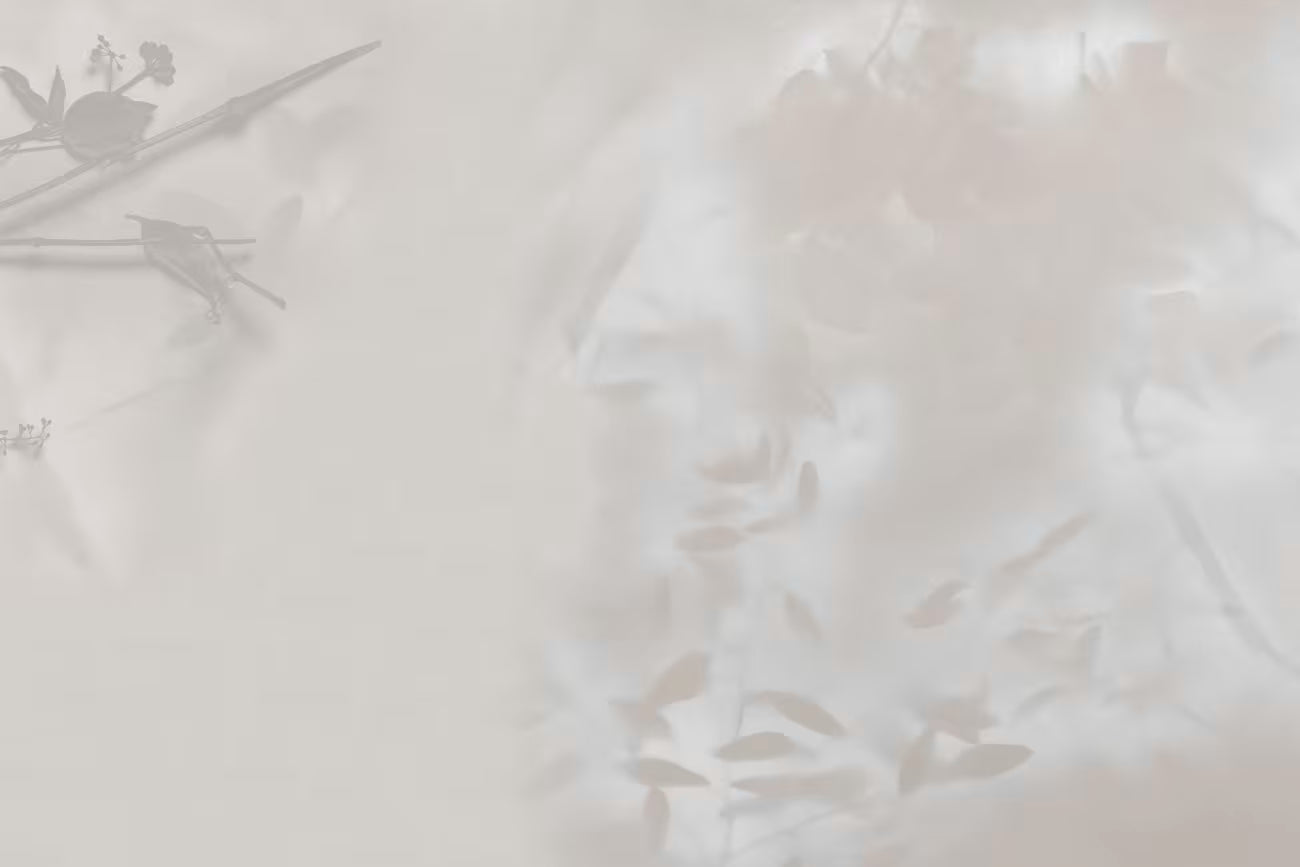 WALLPAPER