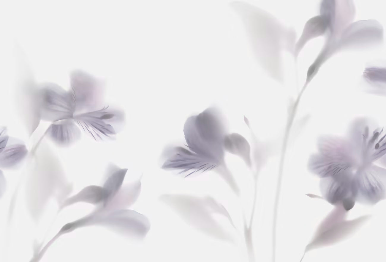 WALLPAPER