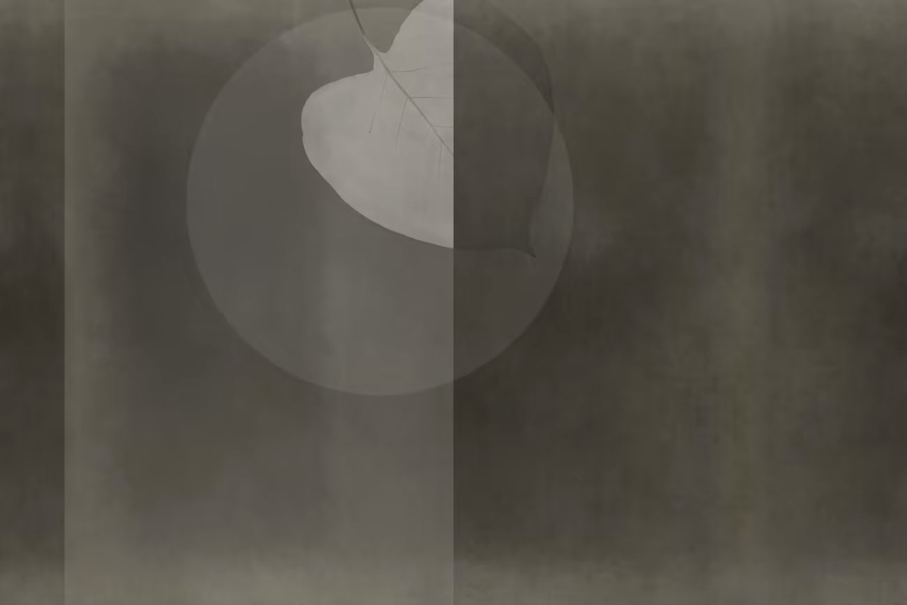 WALLPAPER