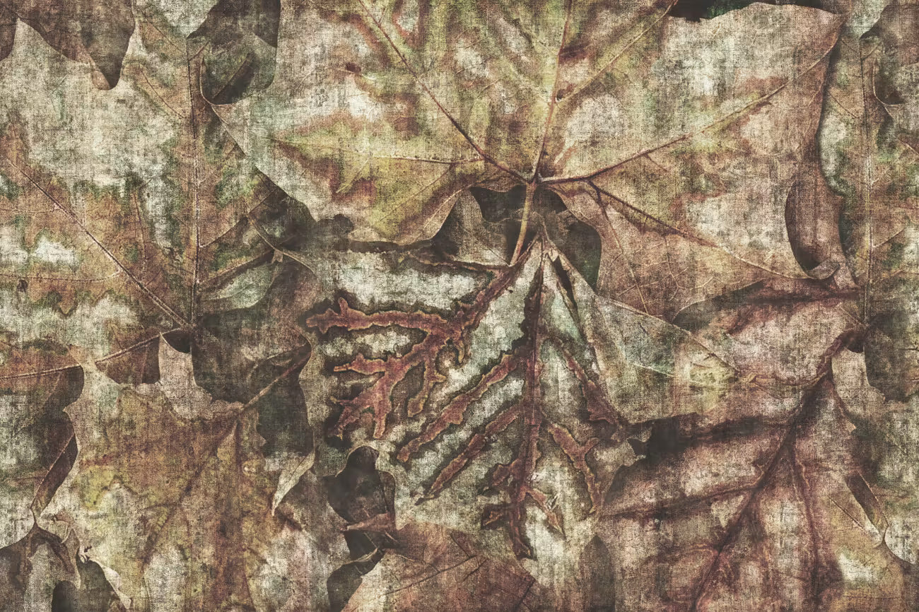 WALLPAPER