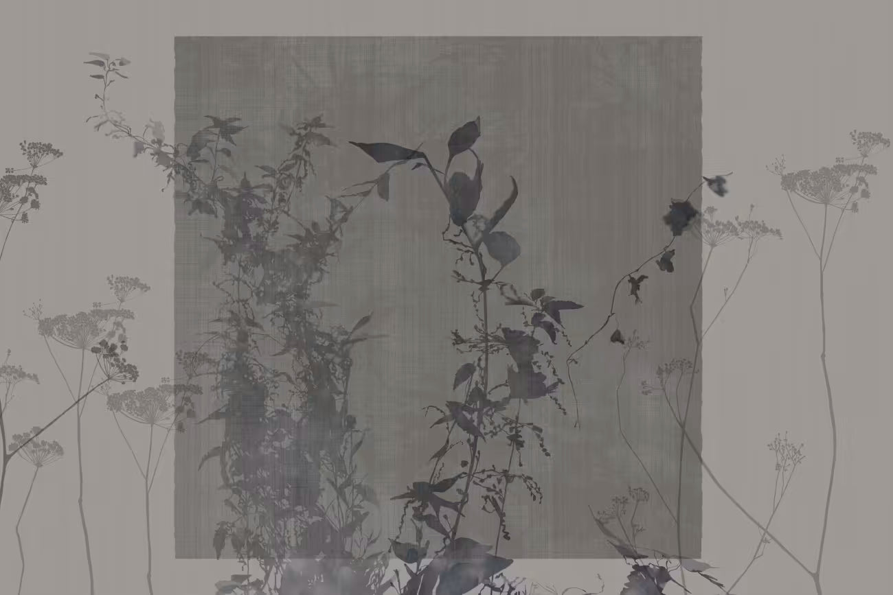 WALLPAPER